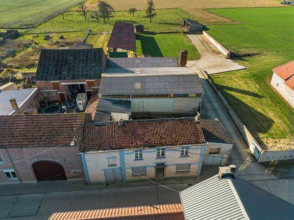 Te renoveren boerderij met stallen, loodsen en grond, Huizen en Kamers, Huizen te koop, Limburg, 1500 m² of meer, Woning met bedrijfsruimte