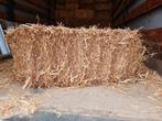 stro in kleine balen, Dieren en Toebehoren, Ophalen, Overige soorten