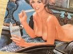 naakt Sexy PinUp Dame Kunst Metalen Wandbord Erotiek, Huis en Inrichting, Verzenden, Nieuw