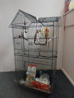 Vogelkooi 95x45x35 met extra's, Ophalen, Zo goed als nieuw, Vogelkooi