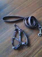 Puppy tuigje+riem, Dieren en Toebehoren, Ophalen of Verzenden, Zo goed als nieuw