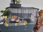 Hamsterkooi voor kleine diertjes, met diverse toebehoren, Dieren en Toebehoren, Ophalen, Zo goed als nieuw, Minder dan 75 cm, Minder dan 65 cm