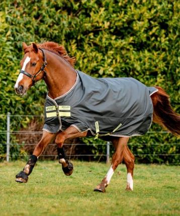Horseware Amigo 200 gram 6.9 beschikbaar voor biedingen