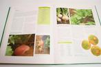 Het Moestuinboek — Groot Formaat, Rijk Geïllustreerd, Ophalen of Verzenden, Gelezen, Interieur en Design