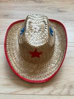 Rieten cowboyhoed, Ophalen of Verzenden, Zo goed als nieuw, One size fits all