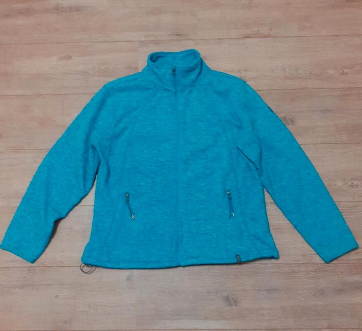 fleece vest foto1,2,3 mt 46zwart/wit,grijze hes/vest mt 44 , Kleding | Dames, Truien en Vesten, Gedragen, Maat 46/48 (XL) of groter