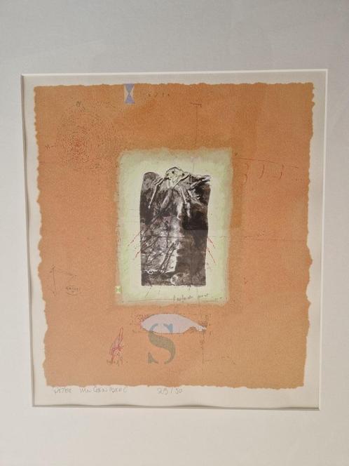 Originele zeefdruk Peter Langenberg incl. kunstboek, Antiek en Kunst, Kunst | Litho's en Zeefdrukken, Ophalen