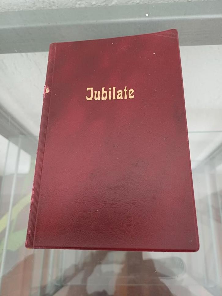 Jubilate Liederenbundel Paramaribo 1989, Boeken, Godsdienst en Theologie, Gelezen, Christendom | Katholiek, Ophalen of Verzenden