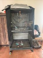 Grote vogel kooi zonder vogel, Dieren en Toebehoren, Vogels | Hokken en Kooien, Ophalen, Gebruikt, Metaal, Volière