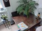 Prachtige oude robuuste doorleefde salontafel, Ophalen, Vierkant, 50 tot 100 cm, Minder dan 50 cm