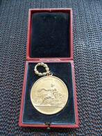 Medaille, Art Nouveau, brons verguld,  1892, Antiek en Kunst, Antiek | Goud en Zilver, Ophalen of Verzenden