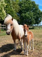 Roodbonte mini pony met veulen, Dieren en Toebehoren, Pony's, Merrie, Recreatiepony, 11 jaar of ouder