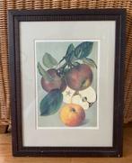 STILLEVEN FRUIT - In Lijst met Glasplaat, Minder dan 50 cm, Gebruikt, Tekening, Ophalen of Verzenden