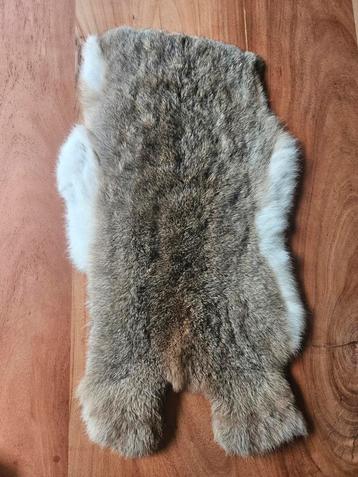 Konijnenvacht XXL Wild beschikbaar voor biedingen