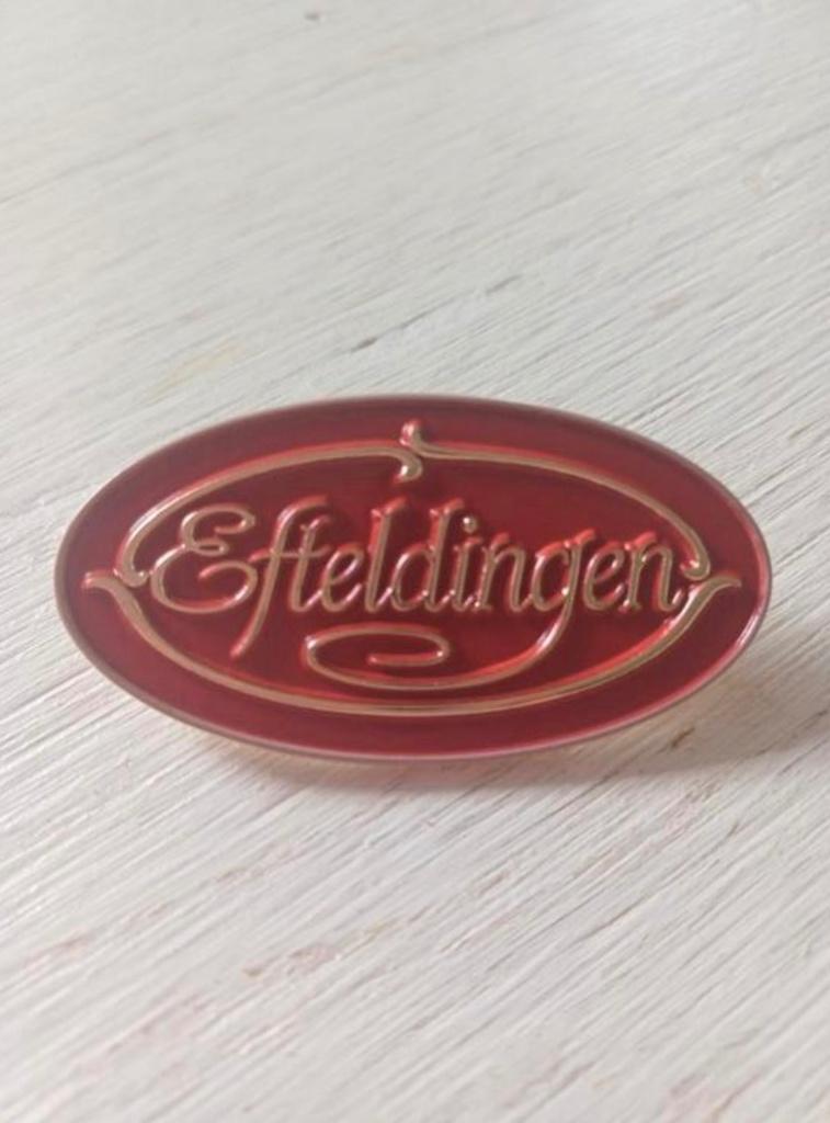 Gezocht: Efteling pin - Efteldingen (zie foto), Ophalen, Nieuw, Button of Speldje