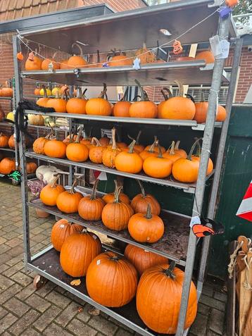 Pompoenen | Halloween | Eetbaar | Decoratie beschikbaar voor biedingen