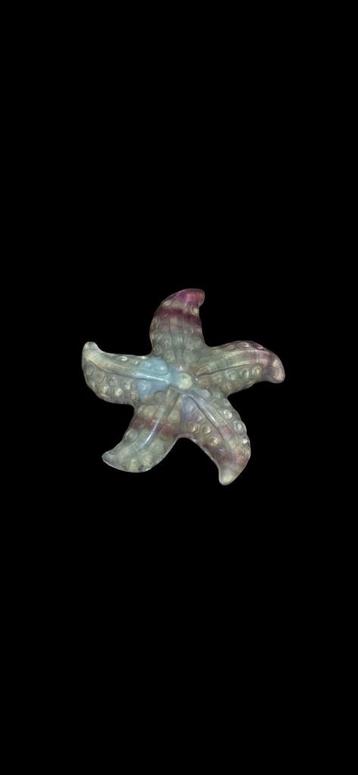 Fluorier zeester beschikbaar voor biedingen