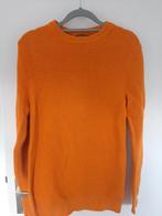 Mooie truien maat s 7,50 pst, Kleding | Dames, Truien en Vesten, Ophalen of Verzenden, Zo goed als nieuw, Maat 46/48 (XL) of groter