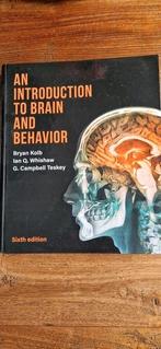 An introduction to brain and behaviour, Boeken, Ophalen of Verzenden, Beta, Zo goed als nieuw, WO