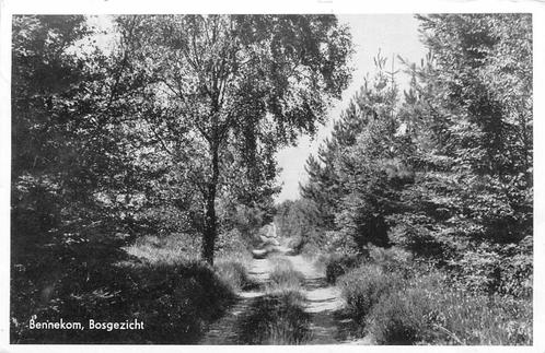 (387-010-017) Bennekom Bosgezicht, Verzamelen, Ansichtkaarten | Nederland, Gelderland, Verzenden