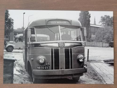 Foto BUS BBA Breda 605, Verzamelen, Spoorwegen en Tramwegen, Gebruikt, Bus of Metro, Overige typen, Verzenden
