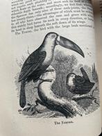 1857 Geschiedenis der Vogels E. Stanley (engels), Antiek en Kunst, Ophalen of Verzenden