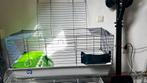 Cavia of konijnenkooi, Dieren en Toebehoren, Kooi, Gebruikt, 75 tot 110 cm, Cavia