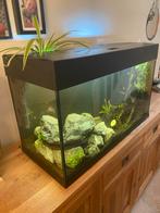 Ferplast dubai aquarium 125 liter, Ophalen, Gebruikt, Leeg aquarium