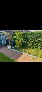 Tegel 50x50x4 gratis ophalen 30m2, Ophalen, Gebruikt, Beton, Terrastegels