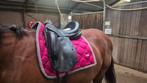Custom icon flight 17.5 inch, Dieren en Toebehoren, Paarden en Pony's | Zadels, Ophalen, Zo goed als nieuw, Dressuur