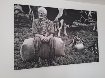 Enorm Canvas Reclame afbeelding BRYCK  beschikbaar voor biedingen
