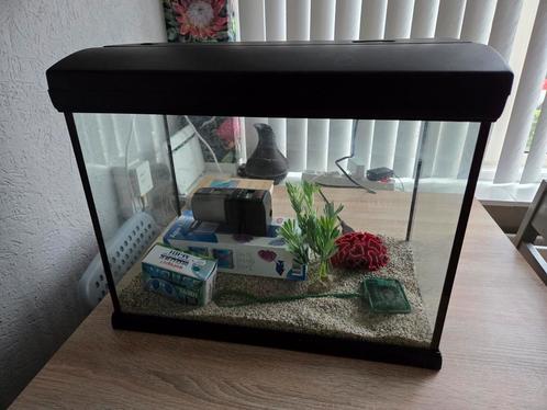Aquarium tekoop, Dieren en Toebehoren, Vissen | Aquaria en Toebehoren, Leeg aquarium, Ophalen