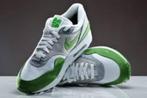 Nike air max 1 patta 2009  5th anniversary 10.5/44.5, Kleding | Heren, Schoenen, Overige kleuren, Nike, Nieuw, Ophalen of Verzenden