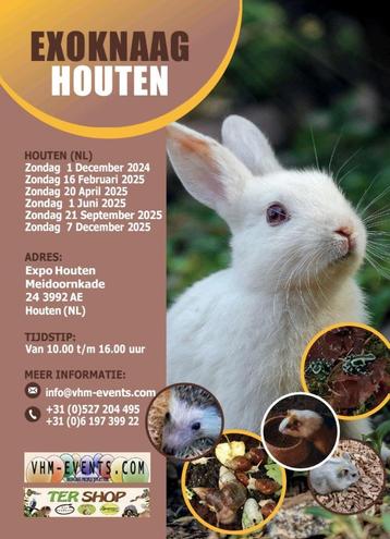 Exoknaag&Terraria Houten 01-06-2025 Nederlands grootste beschikbaar voor biedingen