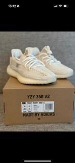 Adidas Yeezy Boost 350 V2 Bone - Nieuw! Maat 36,5, Kleding | Dames, Schoenen, Ophalen of Verzenden, Nieuw, Wit, Sneakers of Gympen