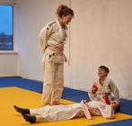 roze judoband, Sport en Fitness, Vechtsporten en Zelfverdediging, Overige, Nieuw, Ophalen of Verzenden, Vechtsportkleding