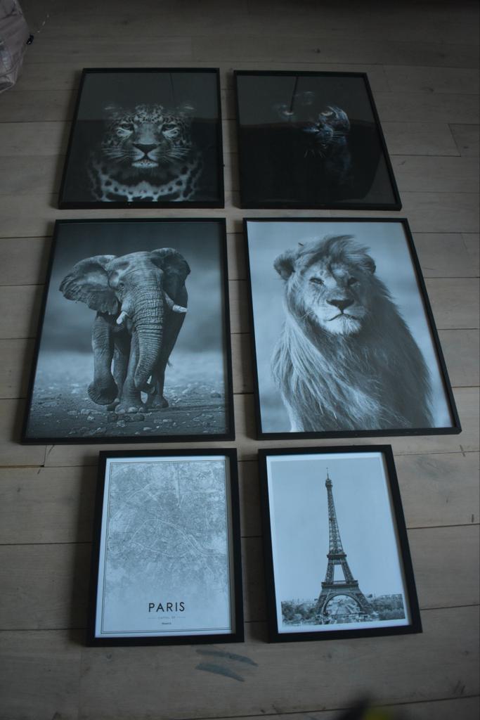 Zwart-wit posters in lijst - Safari & Parijs, Huis en Inrichting, Woonaccessoires | Schilderijen, Tekeningen en Foto's, Zo goed als nieuw