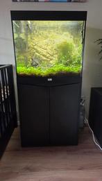 Aquatlantis Volga 120, Dieren en Toebehoren, Ophalen, Zo goed als nieuw, Gevuld zoetwateraquarium