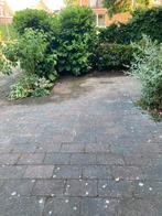 Gratis 15m2 oprit / terras met schoon witzand, Gebruikt, Klinkers, Ophalen of Verzenden, 10 m² of meer