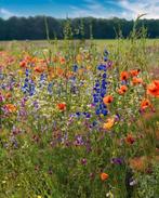 Bloemzaden mix, Tuin en Terras, Ophalen of Verzenden, Volle zon