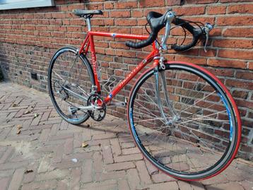 Pinarello Stelvio - Shimano Ultegra - 56cm beschikbaar voor biedingen
