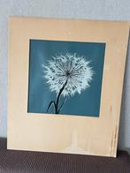 Antieke zeefdruk met paardenbloem, Antiek en Kunst, Ophalen of Verzenden