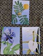 Beleef de natuur Flora Bonaire set van 3 ansichtkaarten, Ophalen of Verzenden, 1980 tot heden, Ongelopen, Natuur