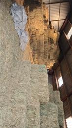 Hooi en stro te koop, Ophalen of Verzenden, Vee