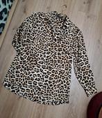 Zara Blouse!, Overige kleuren, Zara, Ophalen of Verzenden, Zo goed als nieuw