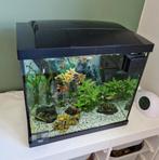 Superfish aquarium 55 liter met toebehoren, Dieren en Toebehoren, Vissen | Aquaria en Toebehoren, Ophalen, Zo goed als nieuw, Leeg aquarium