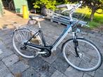 Koga Miyata Tesla elektrische fietsen, Fietsen en Brommers, Ophalen, Gebruikt, Overige merken