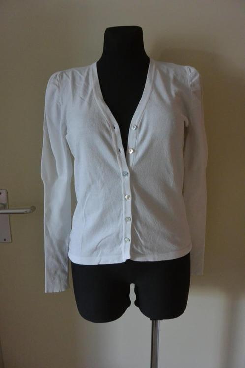 No Man's Land vestje L wit, Kleding | Dames, Truien en Vesten, Gedragen, Maat 38/40 (M), Wit, Ophalen of Verzenden