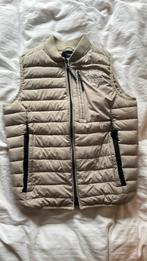 In gold we trust bodywarmer maat 16 (164), Kinderen en Baby's, Kinderkleding | Maat 164, Ophalen of Verzenden, Zo goed als nieuw