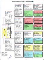 Doffer Gebr Jager uit de Velle x Super Mama, Dieren en Toebehoren, Mannelijk, Postduif